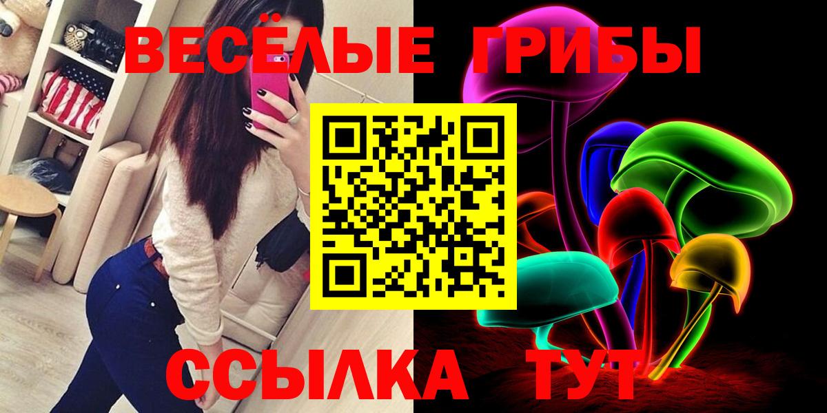 Псилоцибиновые грибы Cubensis Хасавюрт