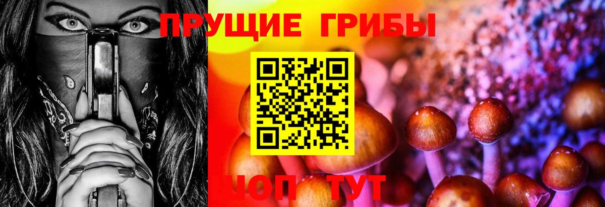 Хасавюрт  Галлюциногенные грибы прущие грибы  Вход с VPN 